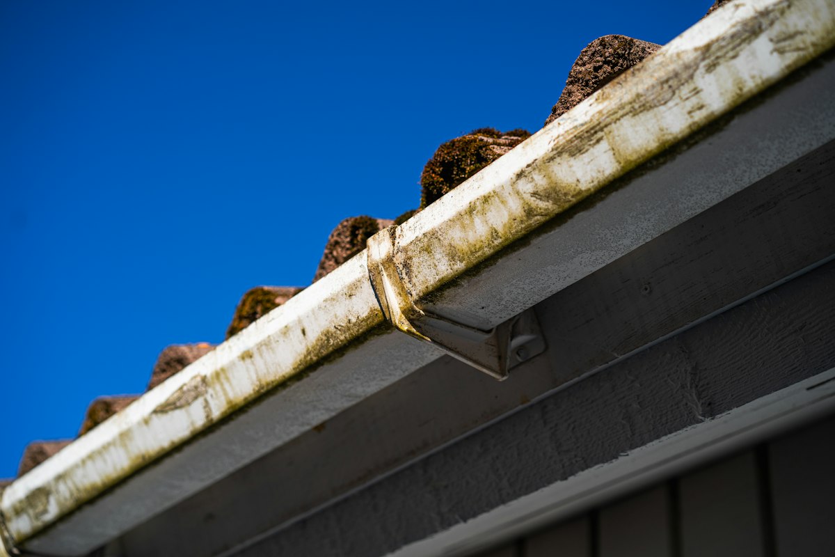 Leaf-clogged gutter along a roofline under a blue sky